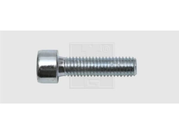 SWG Skruer med indvendig sekskant 10 mm 30 mm Indvendig sekskant DIN 912 Stål verzinkt 100 stk