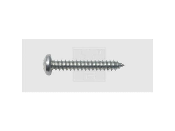 SWG Plattskruvar 4,8 mm 32 mm Kryssade Philips DIN 7981 Stål förzinkat 100 st