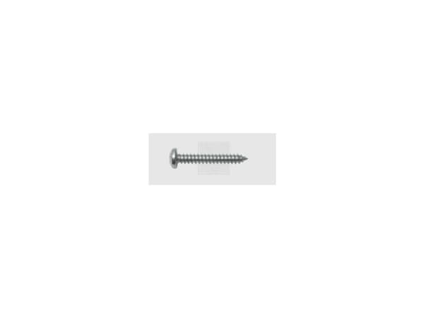 SWG Pladeskruer 5.5 mm 22 mm Krydskærv Philips DIN 7981 Stål verzinkt 100 stk