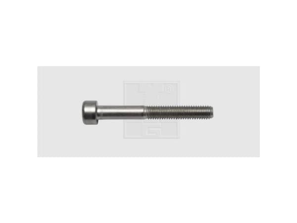 SWG Skruer med indvendig sekskant M6 30 mm Indvendig sekskant DIN 912 Rustfrit stål A2 40 stk Rustfrit stål A2 40 stk