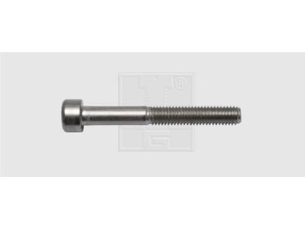 SWG Skruer med indvendig sekskant M6 30 mm Indvendig sekskant DIN 912 Rustfrit stål A2 40 stk Rustfrit stål A2 40 stk