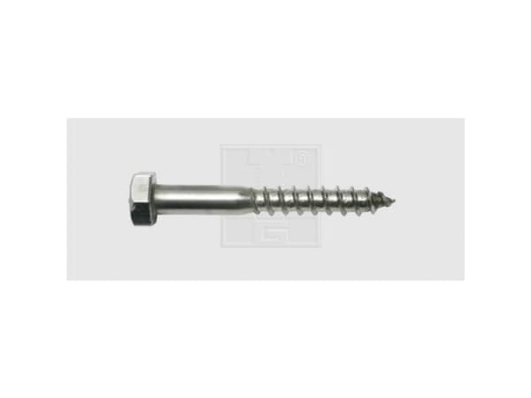 SWG Puuruuvi 10 mm 100 mm Ulkokuusikulma DIN 571 Ruostumaton teräs A2 15 kpl