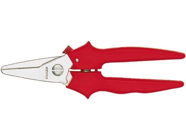 Metallisk platt skatt, särskild skatt Erdi Bessey (D47)