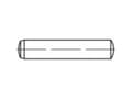 Pikkukuva 2 / 2: TOOLCRAFT 1059493 Sylinterit (Ø x L) 12 mm x 60 mm Rustfrit stål A4 10 stk