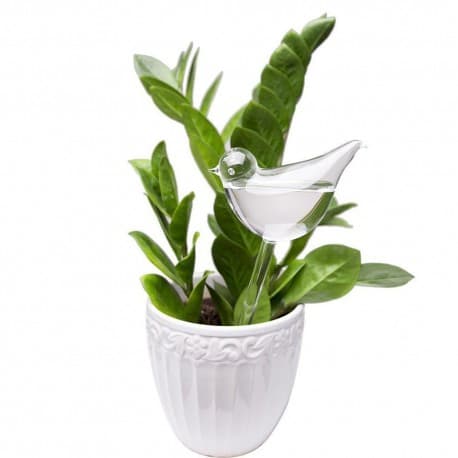 Glass bird for self-irrigation in pots