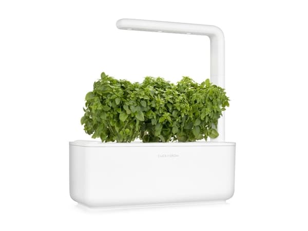 Click and Grow Kääpiöbasilikan siemenet 3 kpl