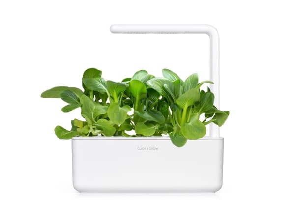 Click & Grow SGR58x3, Syötävä kasvi, Täyttöpakkaus, Kasvaa nopeasti (3–5 viikkoa), 7 - 14 päivää, 1 kuukautta, 18 - 24 °C