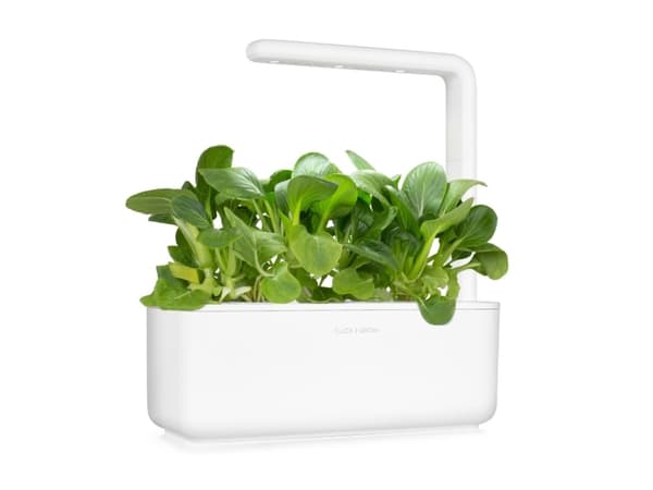 Click & Grow SGR58x3, Syötävä kasvi, Täyttöpakkaus, Kasvaa nopeasti (3–5 viikkoa), 7 - 14 päivää, 1 kuukautta, 18 - 24 °C