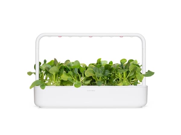 Click & Grow SGR58x3, Syötävä kasvi, Täyttöpakkaus, Kasvaa nopeasti (3–5 viikkoa), 7 - 14 päivää, 1 kuukautta, 18 - 24 °C
