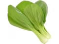 Pikkukuva 3 / 3: Click & Grow SGR58x3, Syötävä kasvi, Täyttöpakkaus, Kasvaa nopeasti (3–5 viikkoa), 7 - 14 päivää, 1 kuukautta, 18 - 24 °C