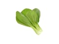 Pikkukuva 1 / 3: Click & Grow SGR58x3, Syötävä kasvi, Täyttöpakkaus, Kasvaa nopeasti (3–5 viikkoa), 7 - 14 päivää, 1 kuukautta, 18 - 24 °C