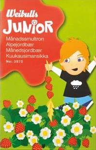 Junior Månadssmultron