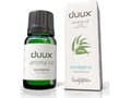 Miniatyrbild 3 av 3: Duux DUATH02, 10 ml, Eukalyptus, Luftfuktare