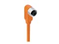 Pikkukuva 1 / 4: Belden 934703007, 5 m, M12, Naaras, Oranssi, Polyvinyylikloridi (PVC), -25 - 70 °C