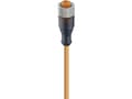 Miniatyrbild 2 av 2: Lumberg Automation 11363-1 Sensor, ställdonskontakt, M12 Anslutning, rak 2,00 m Antal poler (RJ): 3 1 st