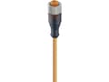 Miniatyrbild 1 av 2: Lumberg Automation 11363-1 Sensor, ställdonskontakt, M12 Anslutning, rak 2,00 m Antal poler (RJ): 3 1 st