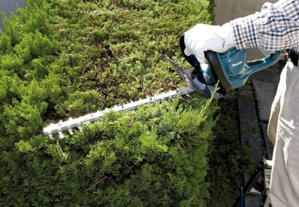 Makita UH4861 - Häcksax - elektrisk - 400 W - 1600 spm - 480 mm - skärkapacitet: 10 mm - tandmellanrum: 18 mm - 3 kg