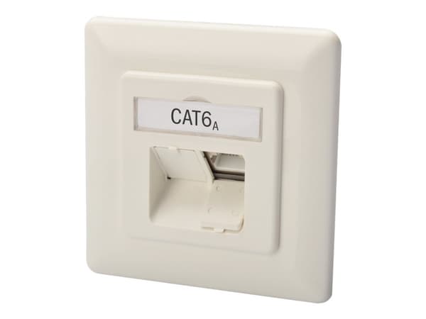 DIGITUS DN-9007-1 - Uttag för nedsänkt montering - CAT 6a - RJ-45 X 2 - RAL 9010 Vit