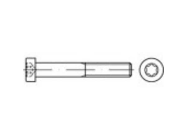 TOOLCRAFT 145836 Cylinderskruer M5 16 mm T-profil DIN 7984 Stål Galvaniseret 500 stk