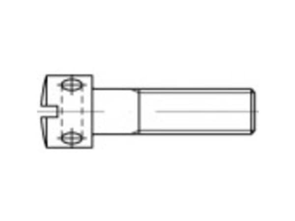 TOOLCRAFT 106417 Skruer med krydshul M4 10 mm Kærv DIN 404 Stål Galvaniseret 100 stk