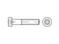 Miniatyrbilde 4 av 4: TOOLCRAFT 139380 Cylinderskruer M5 60 mm Indvendig sekskant DIN 6912 Stål Galvaniseret 200 stk