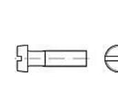 TOOLCRAFT 104255 Cylinderskruer M4 22 mm Kærv DIN 84 Stål Galvaniseret 200 stk