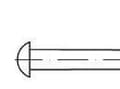 Miniatyrbilde 1 av 4: TOOLCRAFT 112246 Halvrund nitte (Ø x L) 10 mm x 45 mm Stål 100 stk