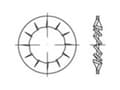 Pikkukuva 3 / 4: TOOLCRAFT 138438 Tähtijousen aluslevyt Sisähalkaisija: 25 mm DIN 6798 Jousiteräs 100 kpl