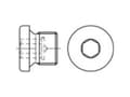Miniatyrbilde 4 av 4: TOOLCRAFT 112741 Låseskruer 1/8 Zoll Indvendig sekskant DIN 908 Stål Galvaniseret 100 stk