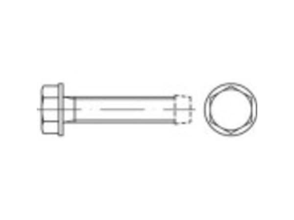 TOOLCRAFT 141133 Gevindskruer M8 16 mm Udvendig sekskant DIN 7500 Stål Galvaniseret 500 stk