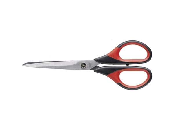 Metallisk platt skatt, särskild skatt Erdi Bessey (D821-160)