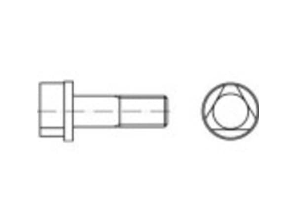 TOOLCRAFT 147119 Trekantsskruer M10 30 mm Trekant DIN 22424 Stål 100 stk
