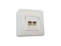 Miniatyrbild 1 av 5: BTR IT CONNECT E-DAT C6 8/8(8) AP Cat.6 - Ytmonterat uttag - CAT 6 - RJ-45 X 2 - kritvit, RAL 9010