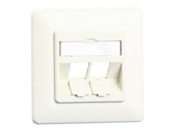 BTR E-DAT modul 8/8(8) UP empty - Uttag för nedsänkt montering - CAT 6 - kritvit, RAL 9010 - 2 portar Vit