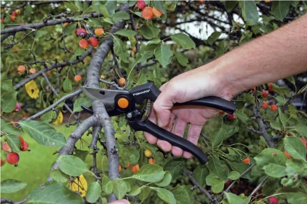 Fiskars 111960, Ohisyöttö, Metalli, Musta, Ruostumaton teräs, 23 cm, 270 g