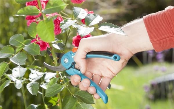 Gardena KLASSISK BESKISKESAKS