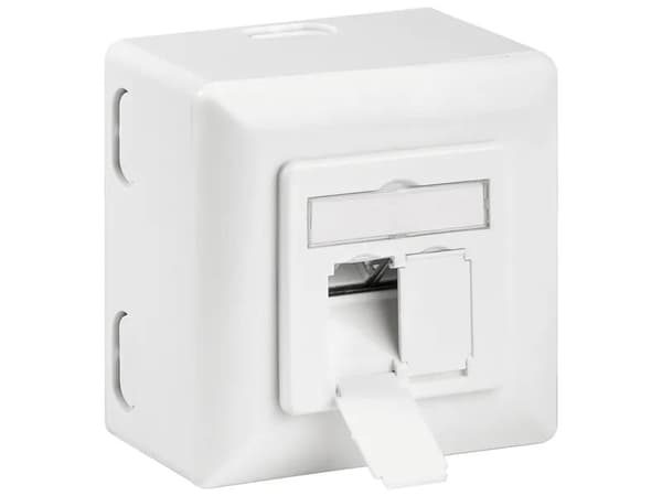 DIGITUS DN-9007-S-1 - Uttag för nedsänkt montering - CAT 6 - STP - RJ-45 X 2 - RAL 1013 Vit
