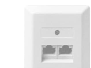 ZE KOMMUNIKATIONSTECHNIK UAE 2x8 - Stik til montering på overflade - RJ-45 (4 pin) X 2 - perlehvid, RAL 1013 - 1-gang