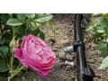 Miniatyrbild 5 av 5: Kärcher Rain System Rain Box - Drip irrigation line set