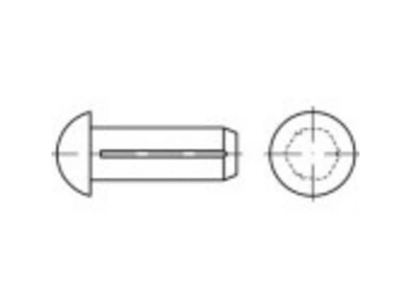TOOLCRAFT 1066888 Halvrundt rillet søm (Ø x L) 5 mm x 12 mm Rustfrit stål A2 100 stk