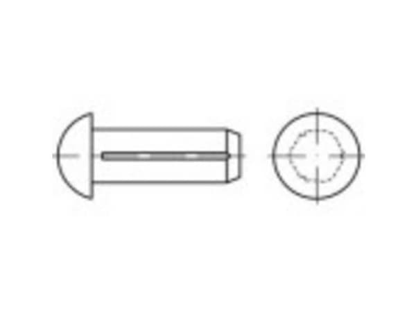 TOOLCRAFT 1066888 Halvrundt rillet søm (Ø x L) 5 mm x 12 mm Rustfrit stål A2 100 stk
