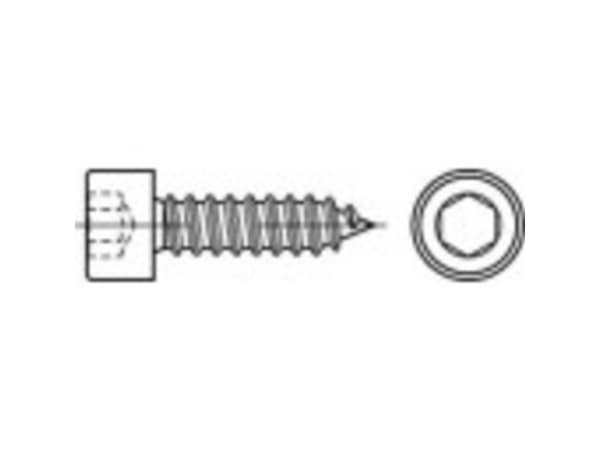 TOOLCRAFT 1067934 Cylinderhuvudskruvar 4,8 mm 32 mm Hexagonfäste 88312 Rostfritt stål A2 500 st