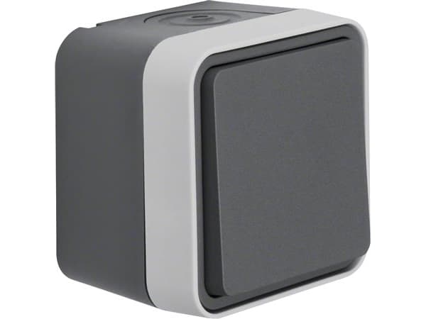 Berker 30763505, Knapper, Grå, 10 A, 250 V