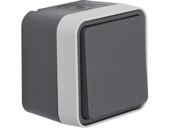 Berker 30763505, Knapper, Grå, 10 A, 250 V