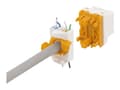 Pikkukuva 3 / 5: Deltaco MD-123, Cat6A Keystone jack, Oranssi, Valkoinen, Cat6a, 26/23, Kulta, 17 mm