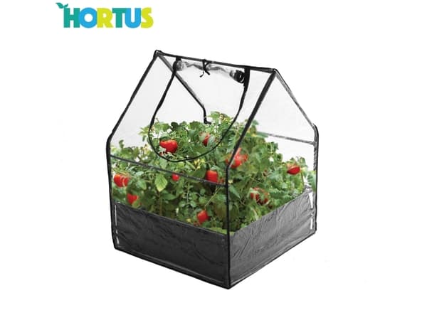 HORTUS Mini växthus med botten 65x65x85 cm (211-180)