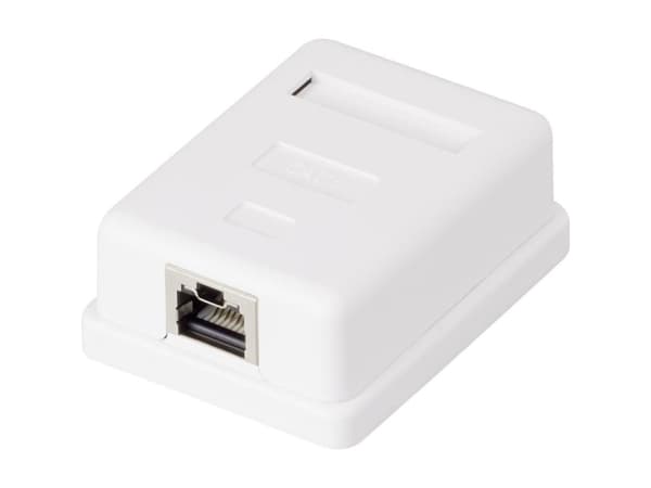 1 port Nätverksuttag Ytmontering CAT 6 Renkforce KSV-ND10 Vit RF-4473849