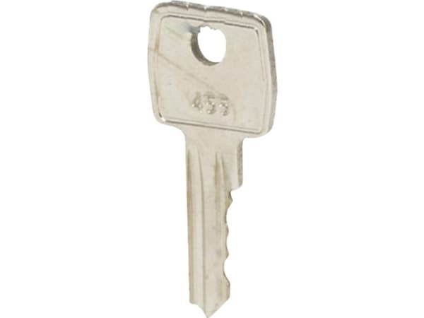 AVAIN 455 (2 KPL)