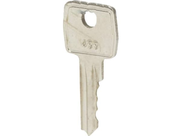 AVAIN 455 (2 KPL)