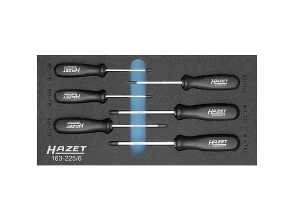 Hazet 163-225/6 Skruetrækker-sæt